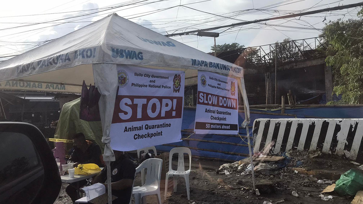 ILOILO CITY - Bilang kabahin sa Executive Order No. 84 ni Iloilo City Mayor Jerry Trenas ginmando sini nga magbutang sang mga boarder control sa syudad sang Iloilo agud malikawan ang paglapta sang balati-an nga African Swine Fever (ASF) kag agud hindi ini makasulod sa syudad.